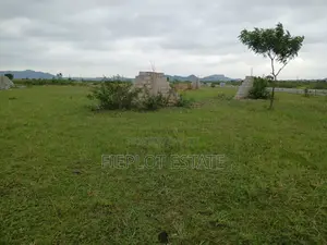 Affordable Land Ownership at Shai Hills