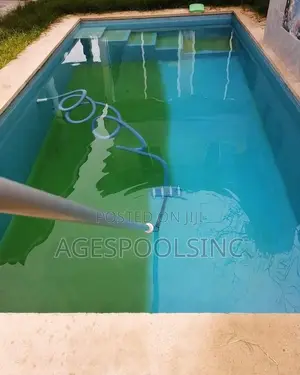 Swimming Pool Cleaning