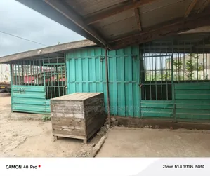 Container for Sell