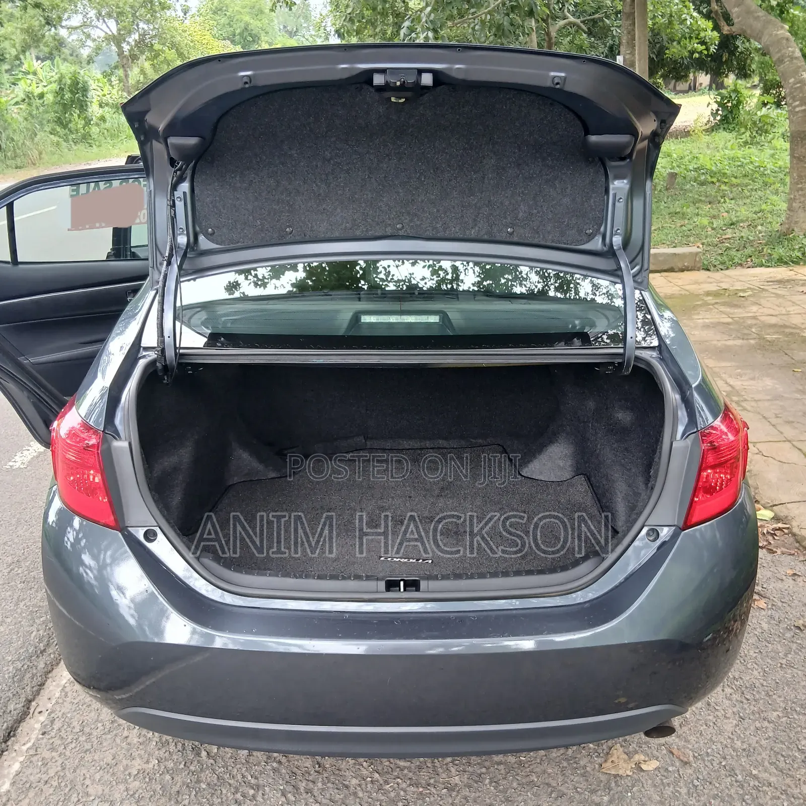 Toyota Corolla XLE (1.8L 4cyl 2A) 2018 Blue