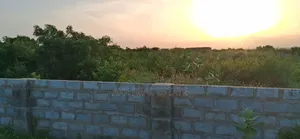 Best Sized Plots at New Ningo Prampram