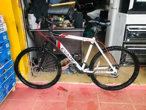 Mountain Bicycle