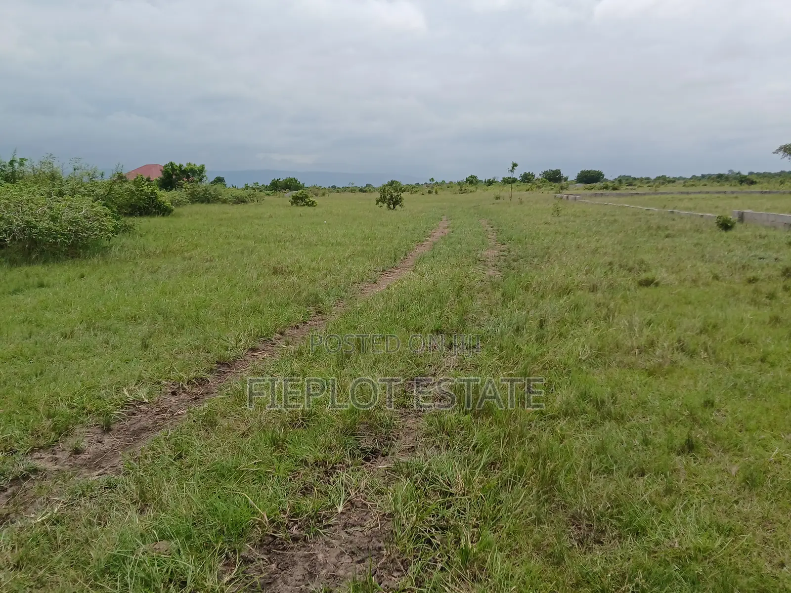 Your Chance to Own Land at Shai Hills