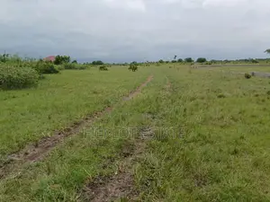 Your Chance to Own Land at Shai Hills