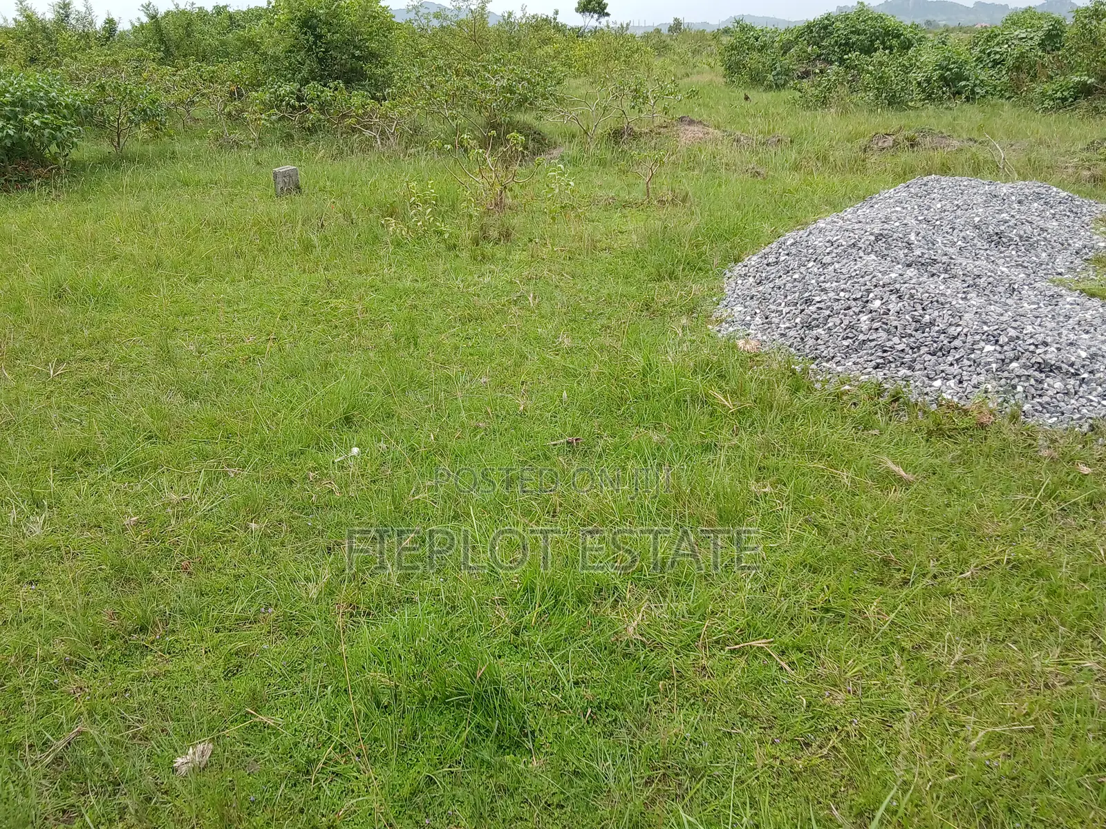 Big Opportunity – Shai Hills Plot