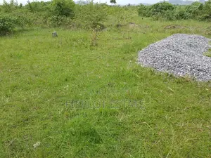 Big Opportunity – Shai Hills Plot