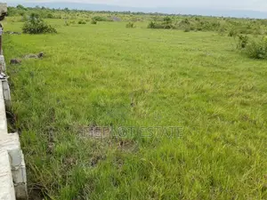 Big Opportunity – Shai Hills Plot