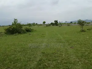 Big Opportunity – Shai Hills Plot