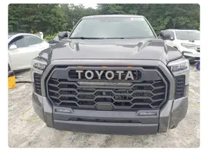 Toyota Tundra 2023 Gray