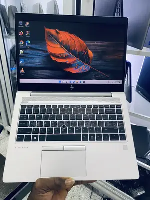 Laptop HP EliteBook 745 G6 16GB AMD Ryzen 5 SSD 256GB