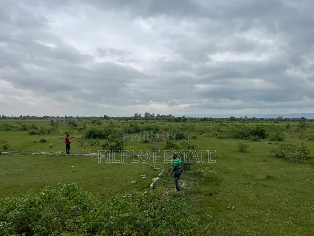 Deposit Half, Spread the Rest at Shai Hills