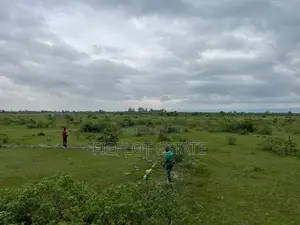 Deposit Half, Spread the Rest at Shai Hills