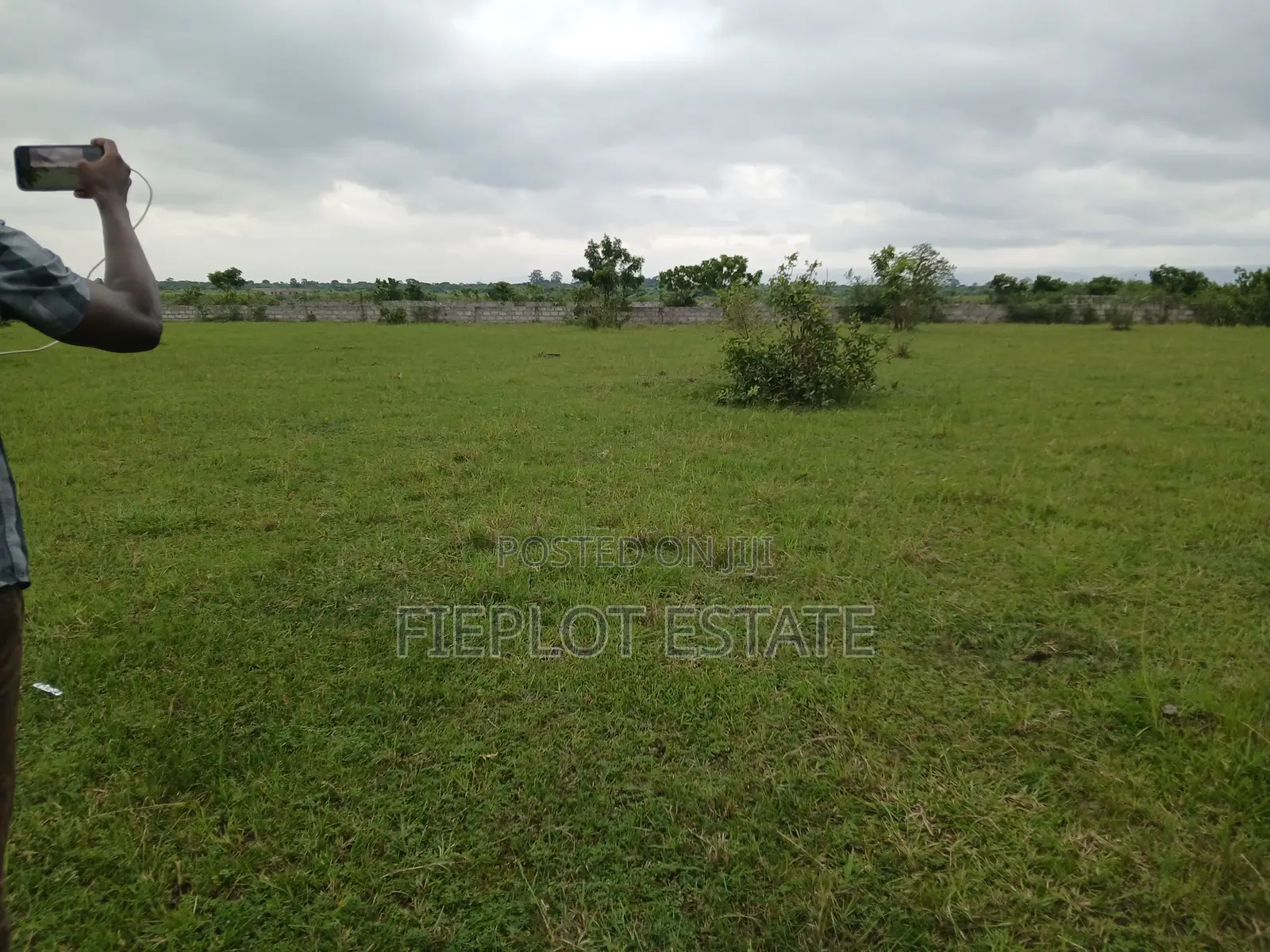 Deposit Half, Spread the Rest at Shai Hills