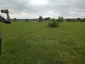 Deposit Half, Spread the Rest at Shai Hills