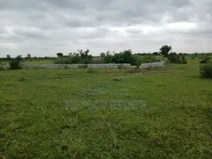 Deposit Half, Spread the Rest at Shai Hills