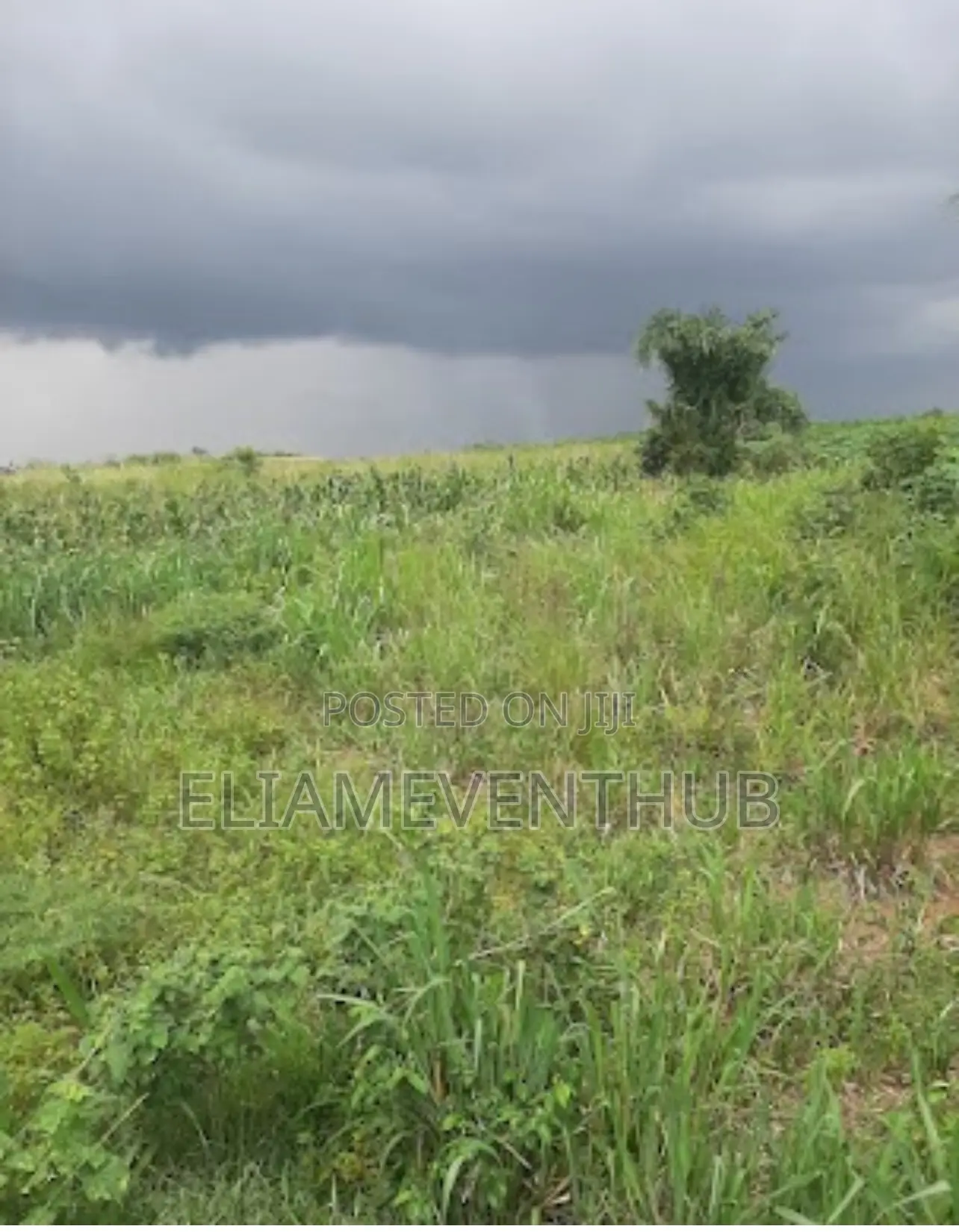 Land for Sale