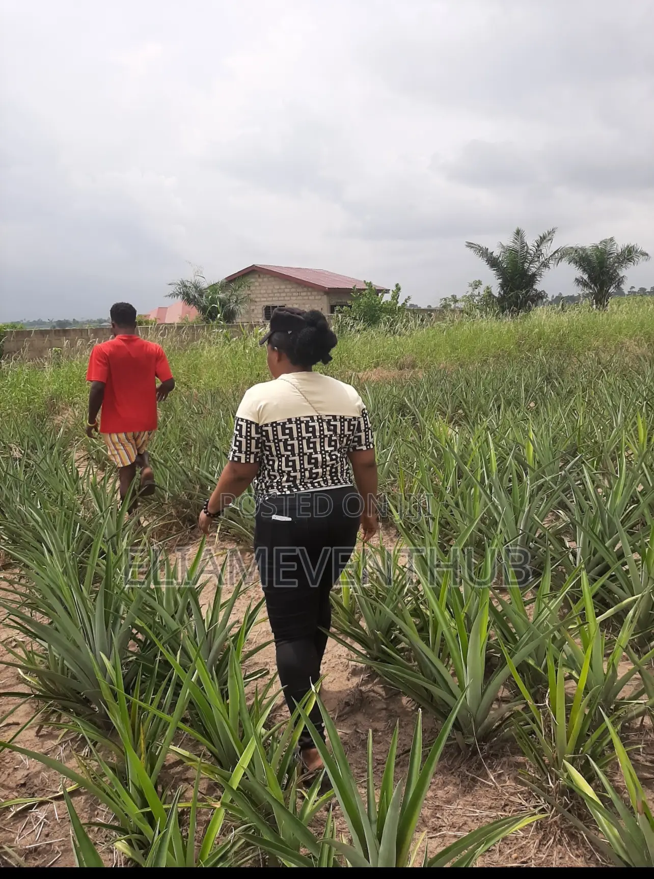 Land for Sale