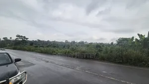 10-Acre Land for Sale – Mankrong, Nkwanta