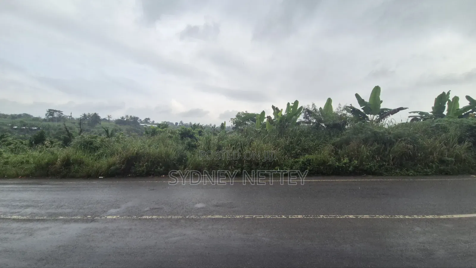 10-Acre Land for Sale – Mankrong, Nkwanta