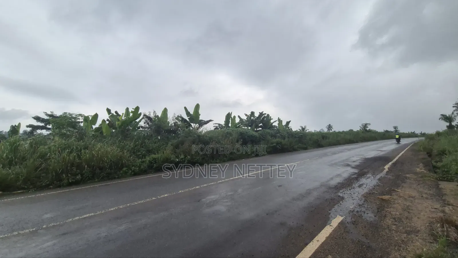 10-Acre Land for Sale – Mankrong, Nkwanta