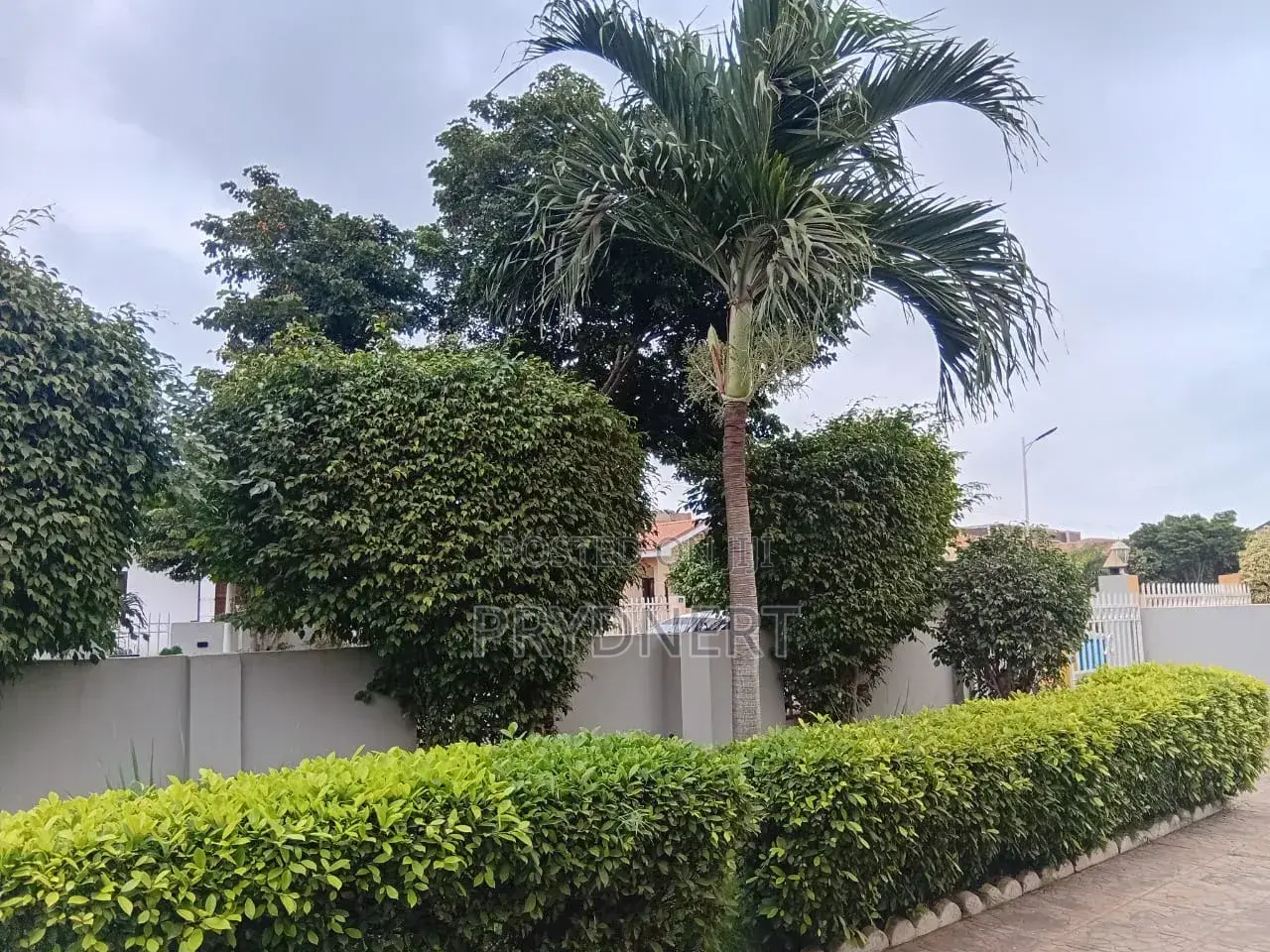 3bdrm House in Devtraco, Community 25 for rent