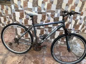 Roadmaster
