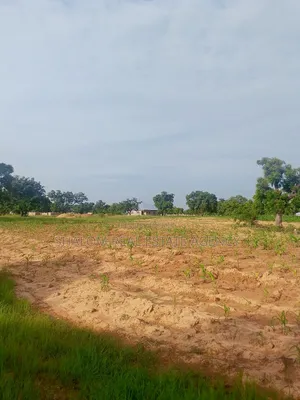 Affordable and Commercial Viable Plots at UDS Dungu Area for Sale