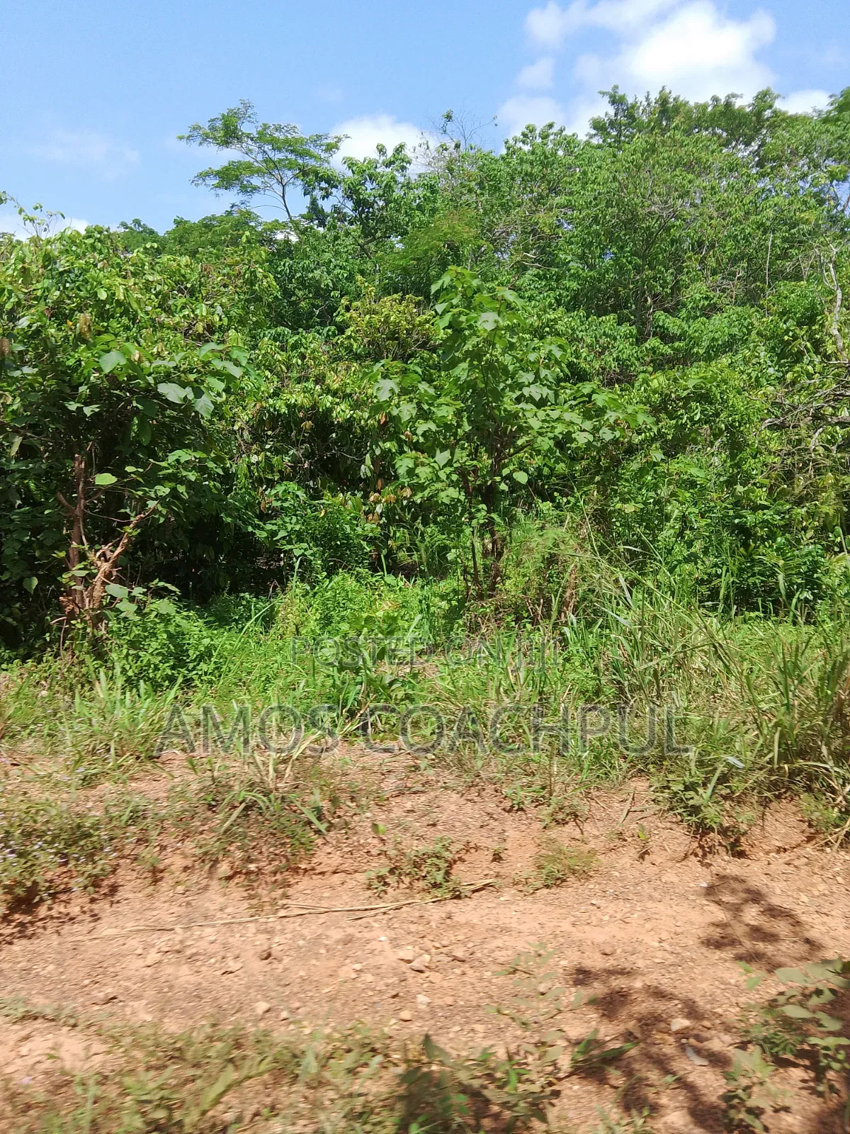 Farmlands at SYN Yawhima, Chiraa-Tano