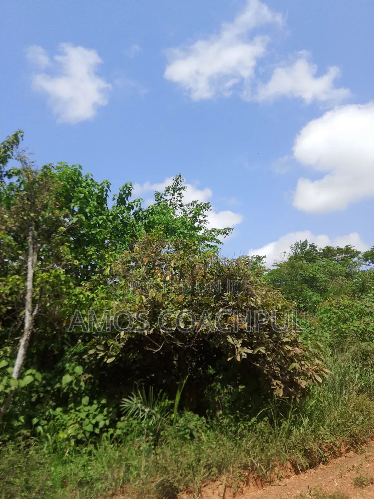 Farmlands at SYN Yawhima, Chiraa-Tano