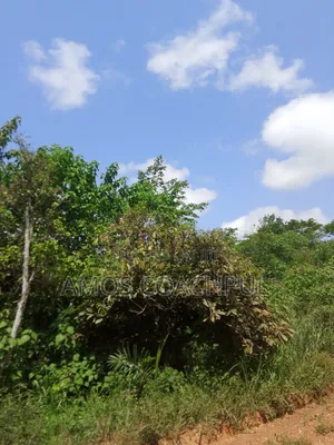 Farmlands at SYN Yawhima, Chiraa-Tano