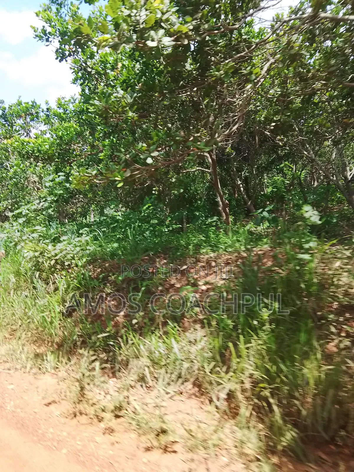 Farmlands at SYN Yawhima, Chiraa-Tano
