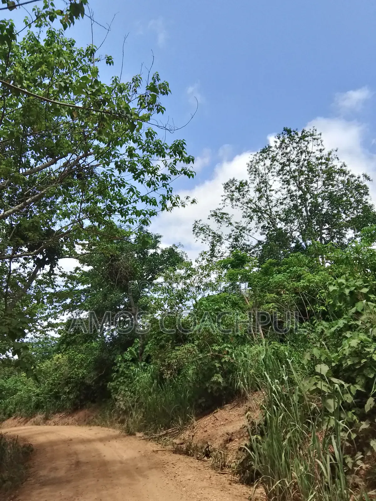 Farmlands at SYN Yawhima, Chiraa-Tano