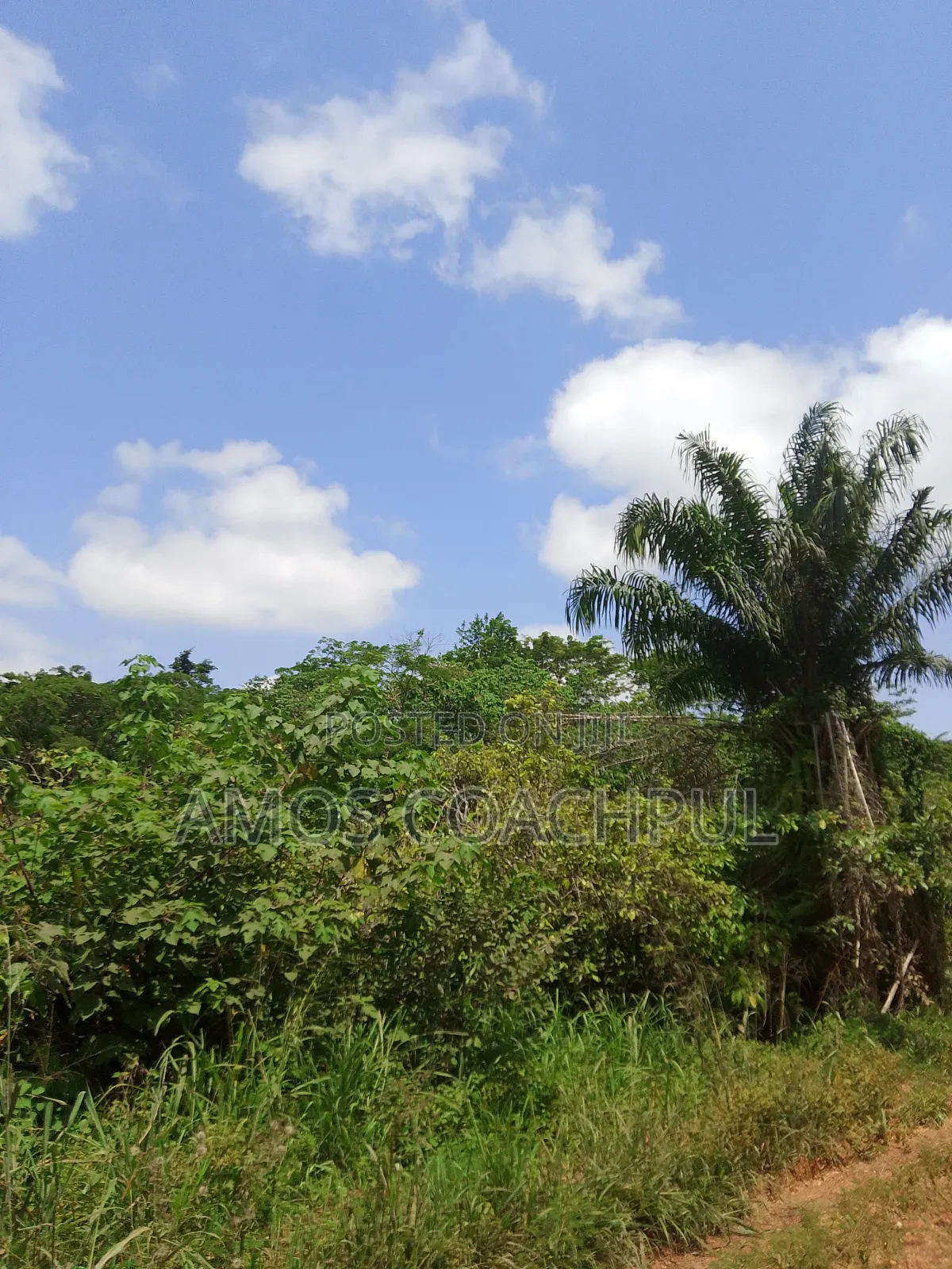 Farmlands at SYN Yawhima, Chiraa-Tano