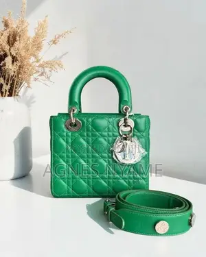 Stylist Ladies Bag
