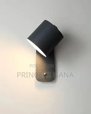 Magnetic Light