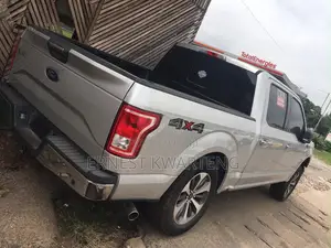 Ford F-150 2016 Gray
