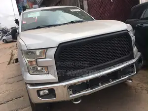 Ford F-150 2016 Gray