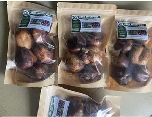 Doum Palm Fruit Both Edible and Planting, 5 Fruits/50gh