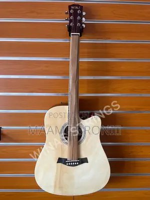 Semi Acoustic + Freebies