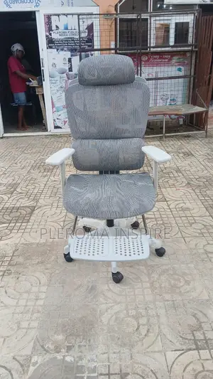 Spinal Cord Support Chair Office Chair