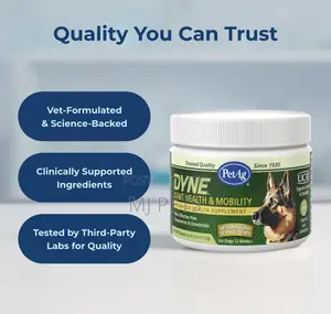 Dyne Joint Health Mobility