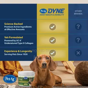 Dyne Joint Health Mobility
