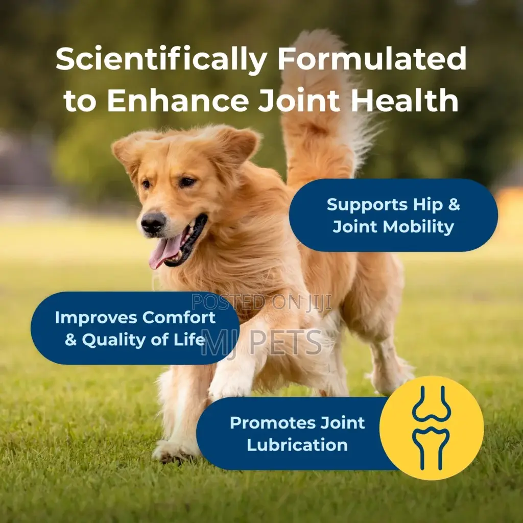 Dyne Joint Health Mobility