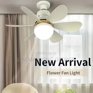Ceiling Fan Light