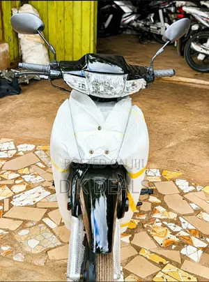 Luojia 110cc 2024