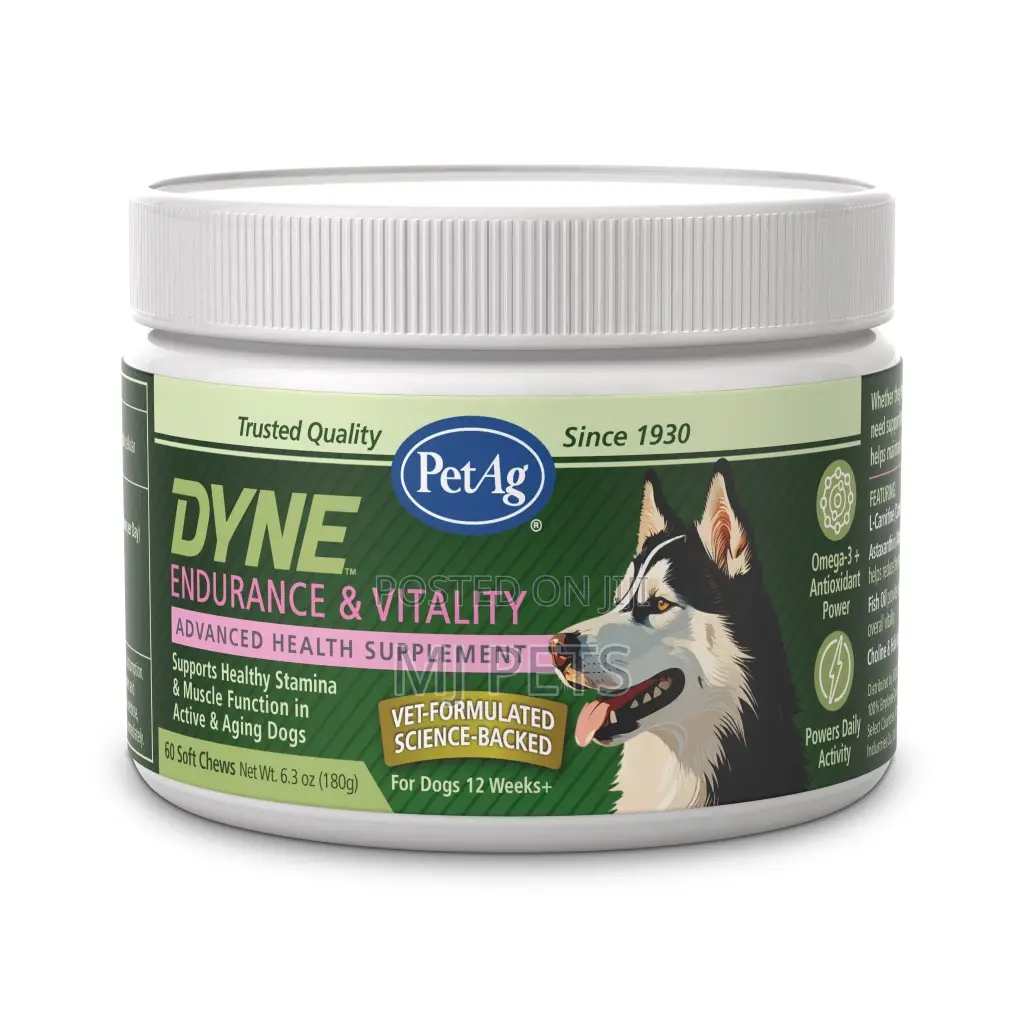 DYNE Endurance Vitality Soft Chews
