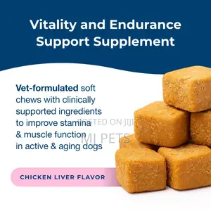 DYNE Endurance Vitality Soft Chews