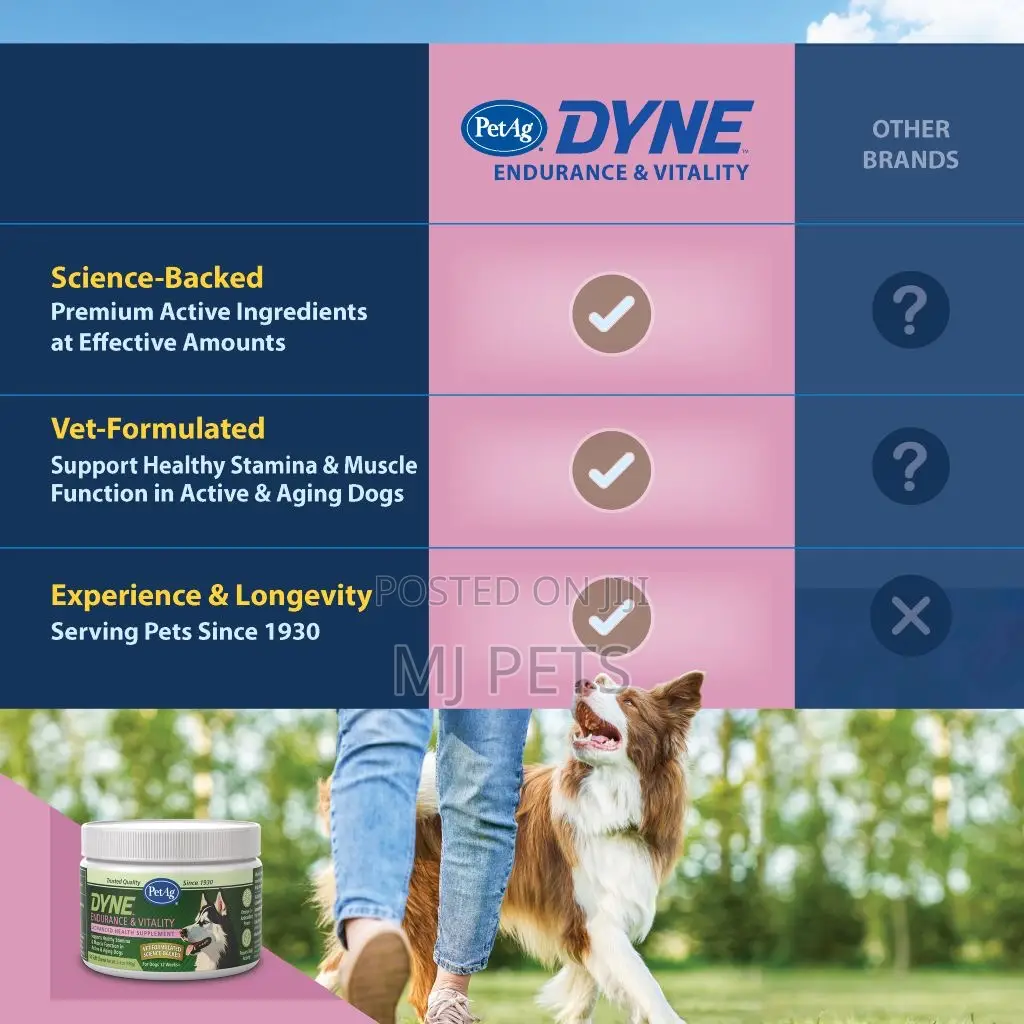DYNE Endurance Vitality Soft Chews