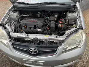 Toyota Vios 2010 Silver