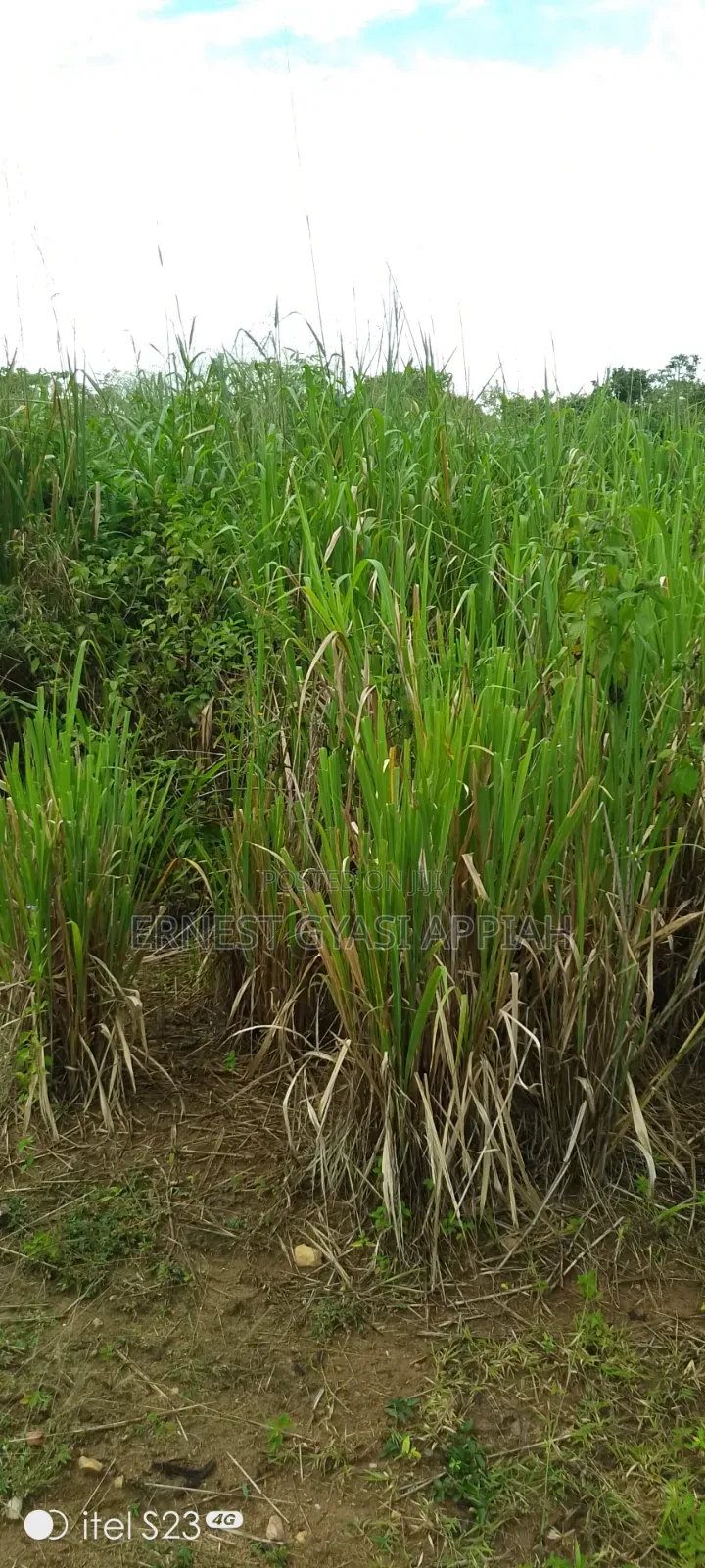 Half Plot at Atia of Ejisu Boankra for Sale